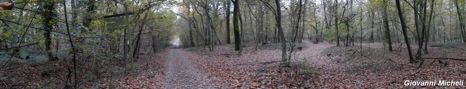 Panoramiche del Ticino